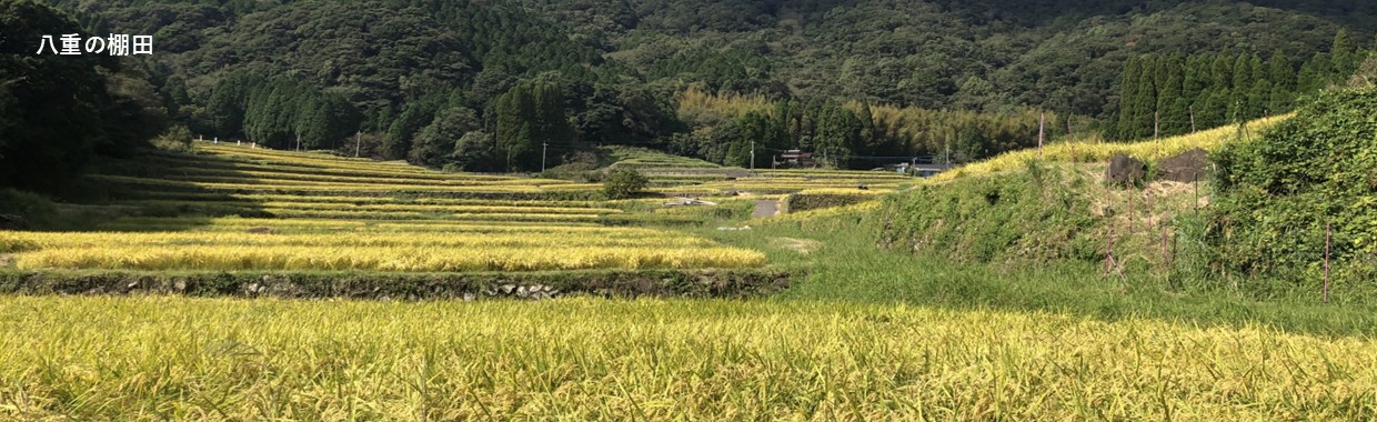 八重の棚田