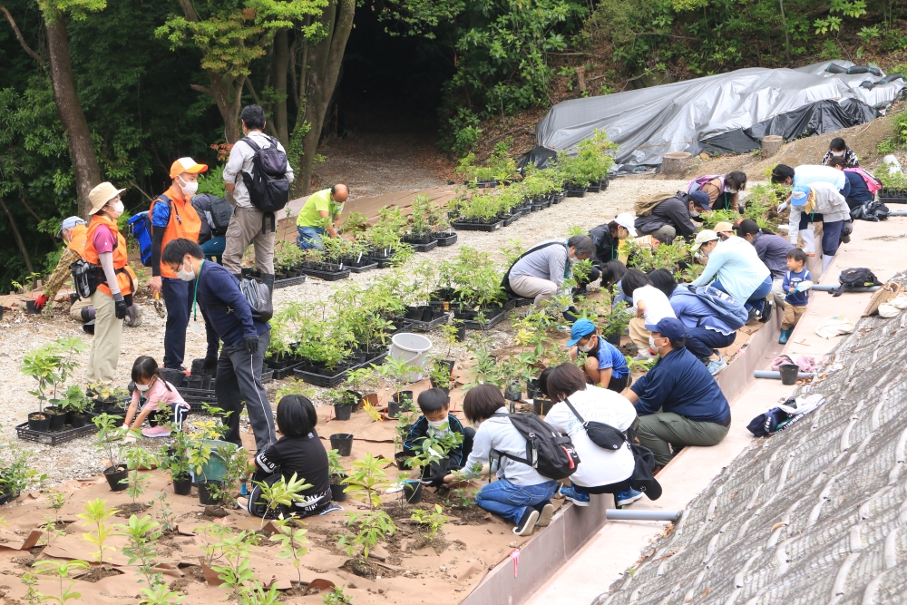 植樹イベント（遠景）