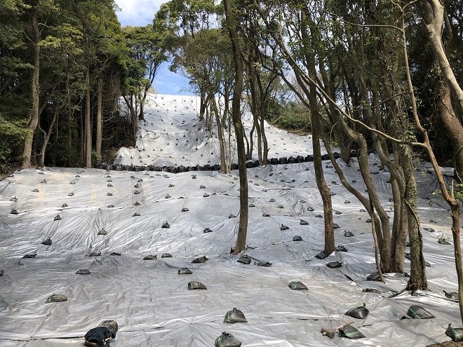 作業終了状況（周辺斜面）