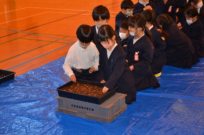 種まきの様子（12月9日）