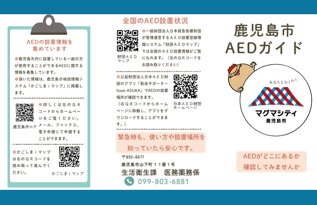 R70924Aedpamphlethyousicolor