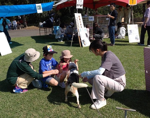 犬の譲渡会