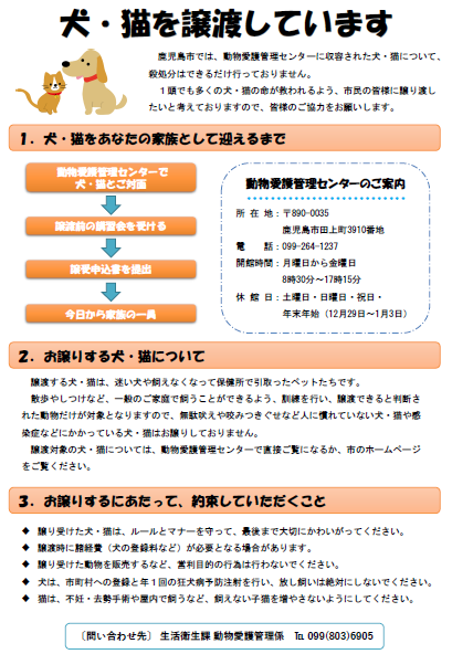 譲渡案内