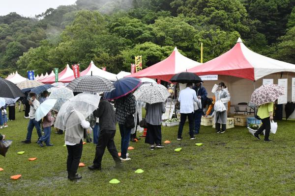 無料配布サツマソイル