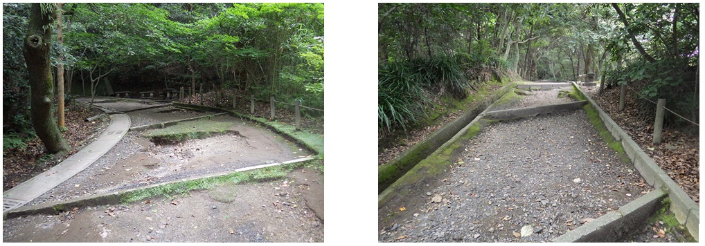 浸食された園路