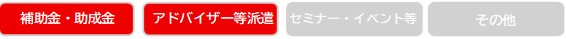 支援内容（補助金・助成金、アドバイザー等派遣）