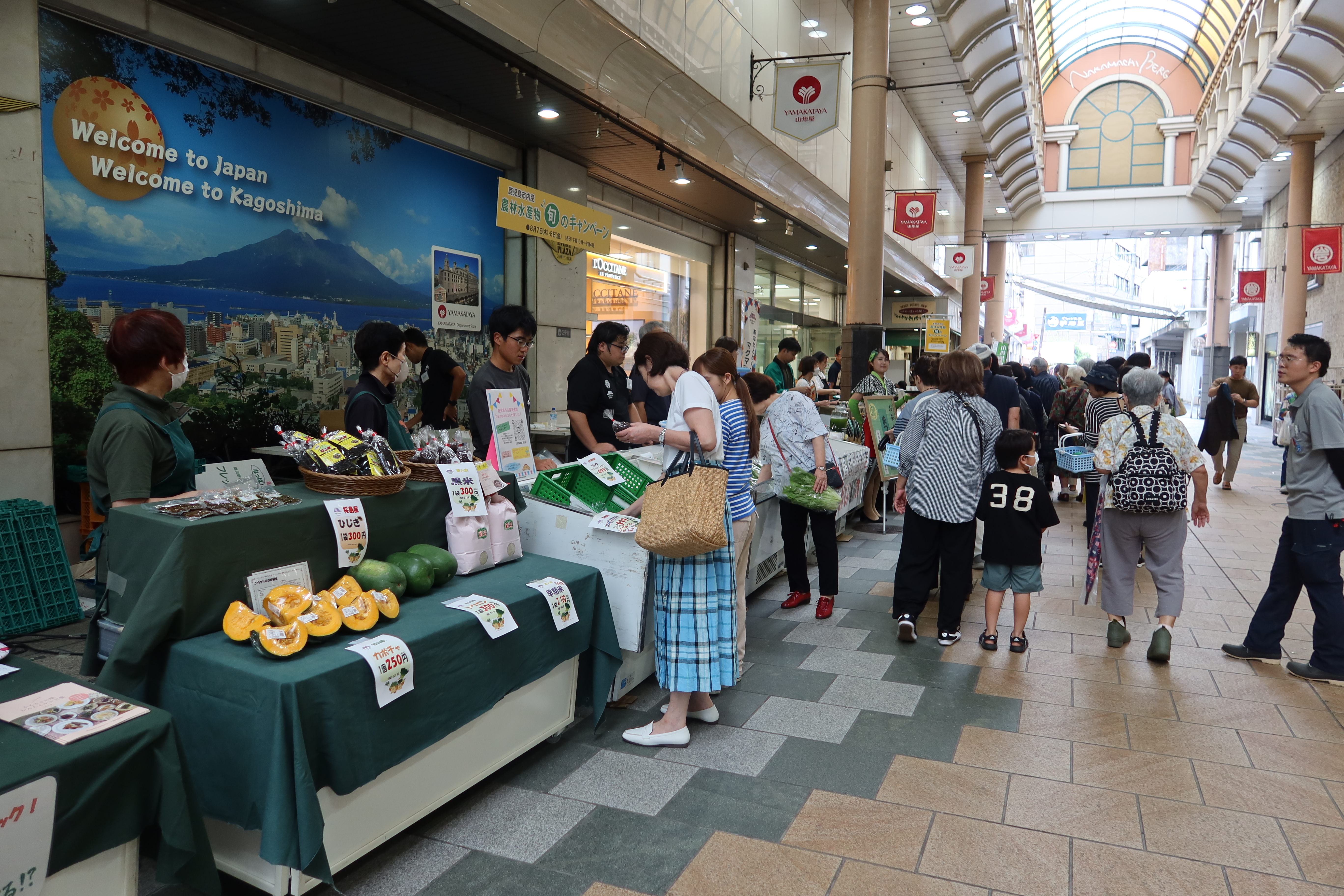 8月旬キャン