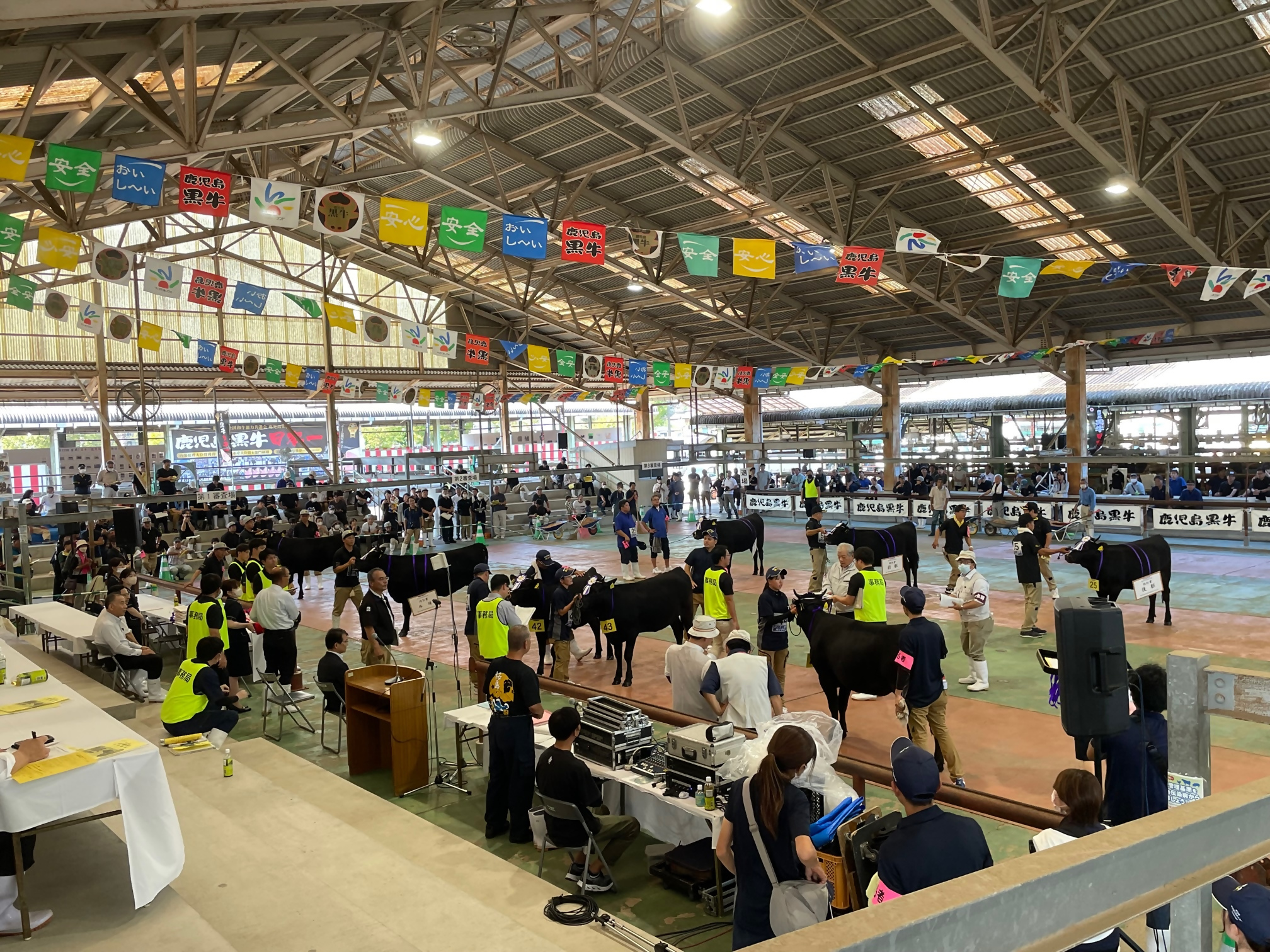 県畜産共進会1