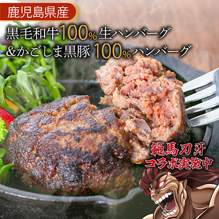 【岩元精肉店】鹿児島県産黒毛和牛100%生ハンバーグ& かごしま黒豚100%ハンバーグ(各4個入)