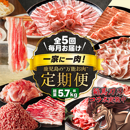 【全5回】一家に一肉！鹿児島の万能お肉定期便