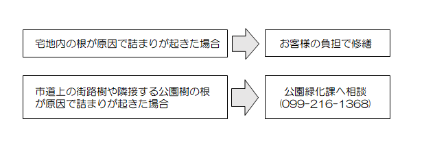 木の根の対応