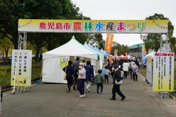 入口
